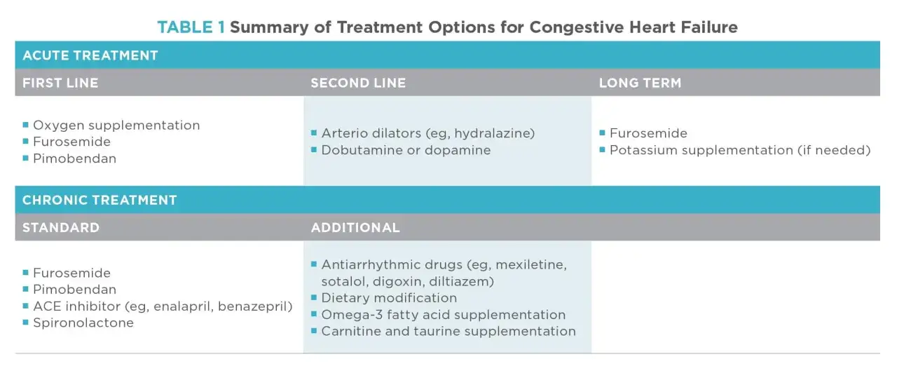 Tableau r&eacute;sumant les options de traitement de l'insuffisance cardiaque chez le chien, incluant le Pimobendan et le Furosemide.