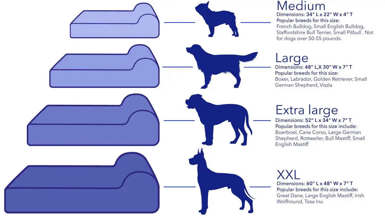 Tableau comparatif des tailles de paniers pour chiens, du m&eacute;dium au XXL, avec silhouettes de chiens et dimensions. Quel panier pour chien choisir ?