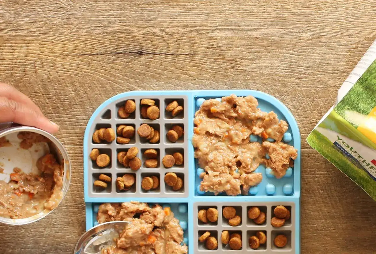 Pr&eacute;paration d'un tapis de l&eacute;chage pour chien : croquettes et p&acirc;t&eacute;e sont dispos&eacute;es dans les compartiments.