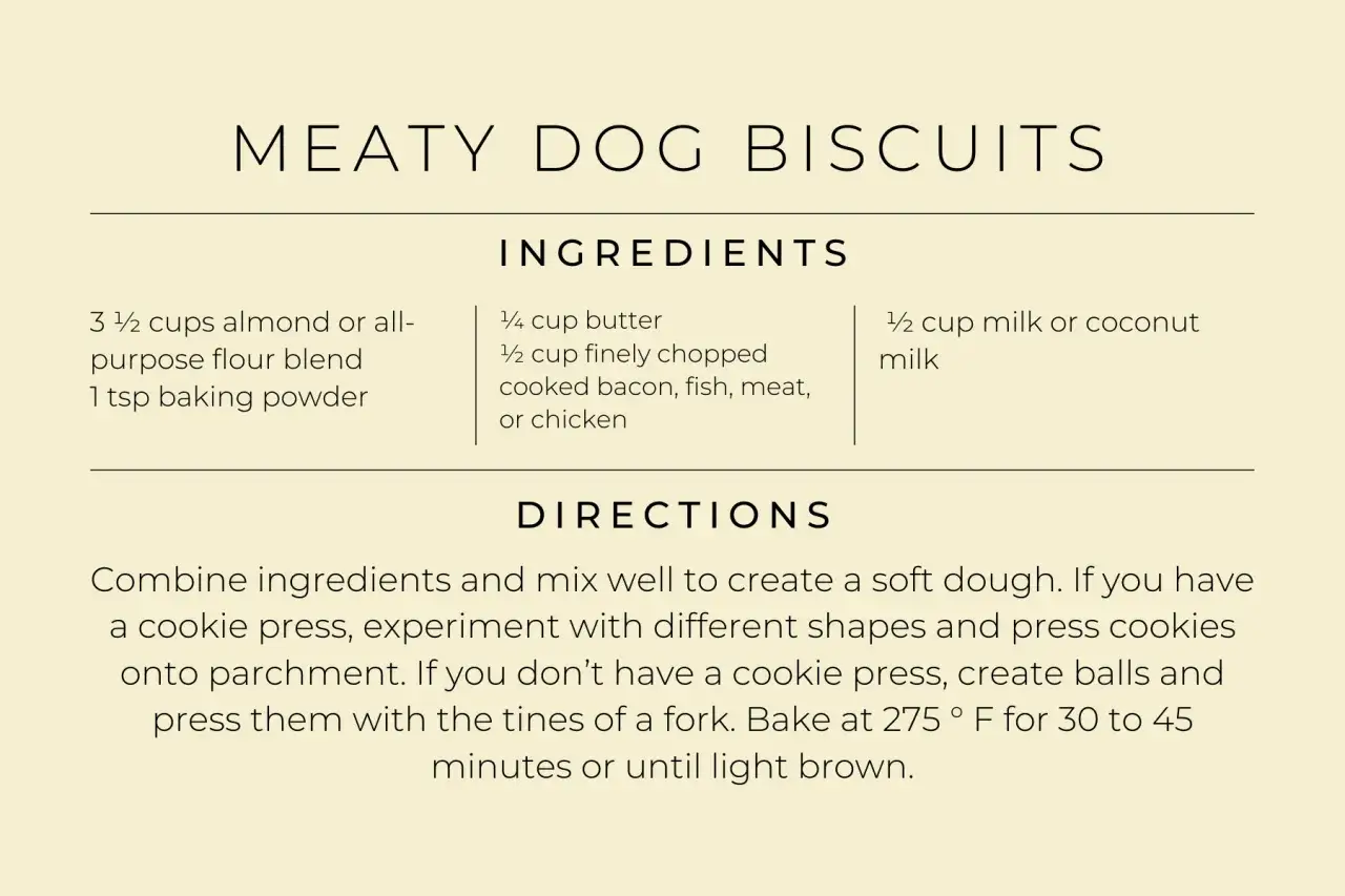 Recette pour faire des g&acirc;teries pour chiens : biscuits savoureux &agrave; base de farine d'amande, beurre, lait et viande hach&eacute;e.