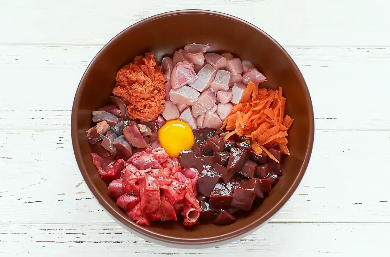 Bol rempli de diff&eacute;rentes viandes crues, d'un &oelig;uf et de carottes r&acirc;p&eacute;es. Une portion id&eacute;ale de quantit&eacute; de viande pour un chien de 10 kg.